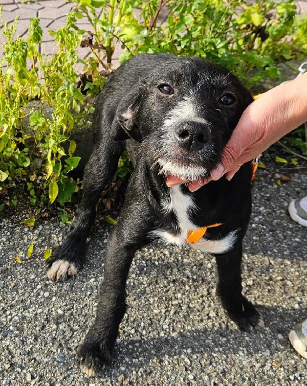 Luna Aspetta Una Mamma 