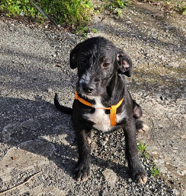 LUNA ASPETTA UNA MAMMA  Foto 2