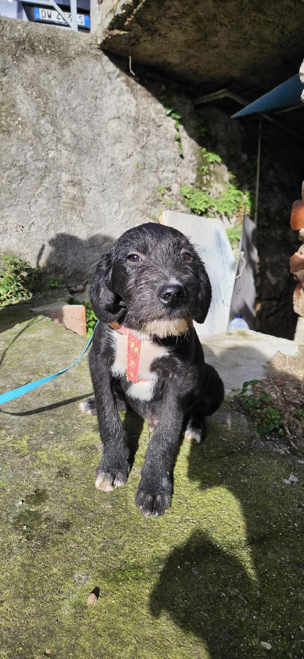 Sole Aspetta Una Mamma 