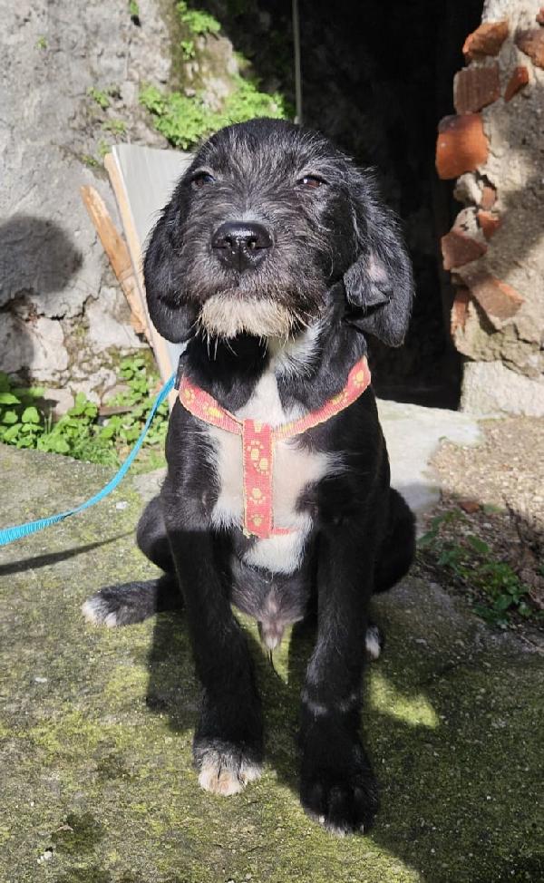 SOLE ASPETTA UNA MAMMA  Foto 2