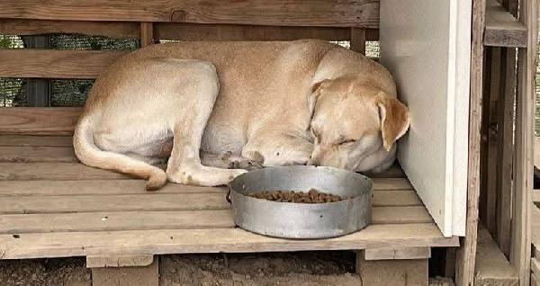 Vasco - 3 anni Foto 2