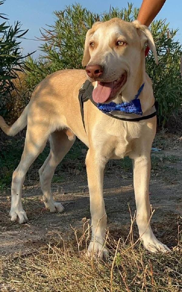 Vasco - 3 anni Foto 4