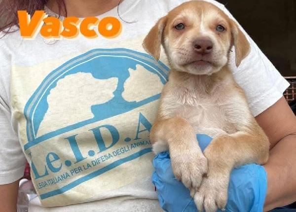 Vasco - 3 anni Foto 5