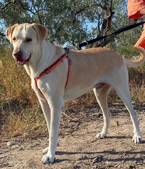 Vasco - 3 anni Foto 6