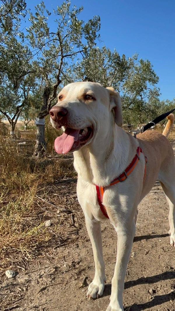 Vasco - 3 anni Foto 7