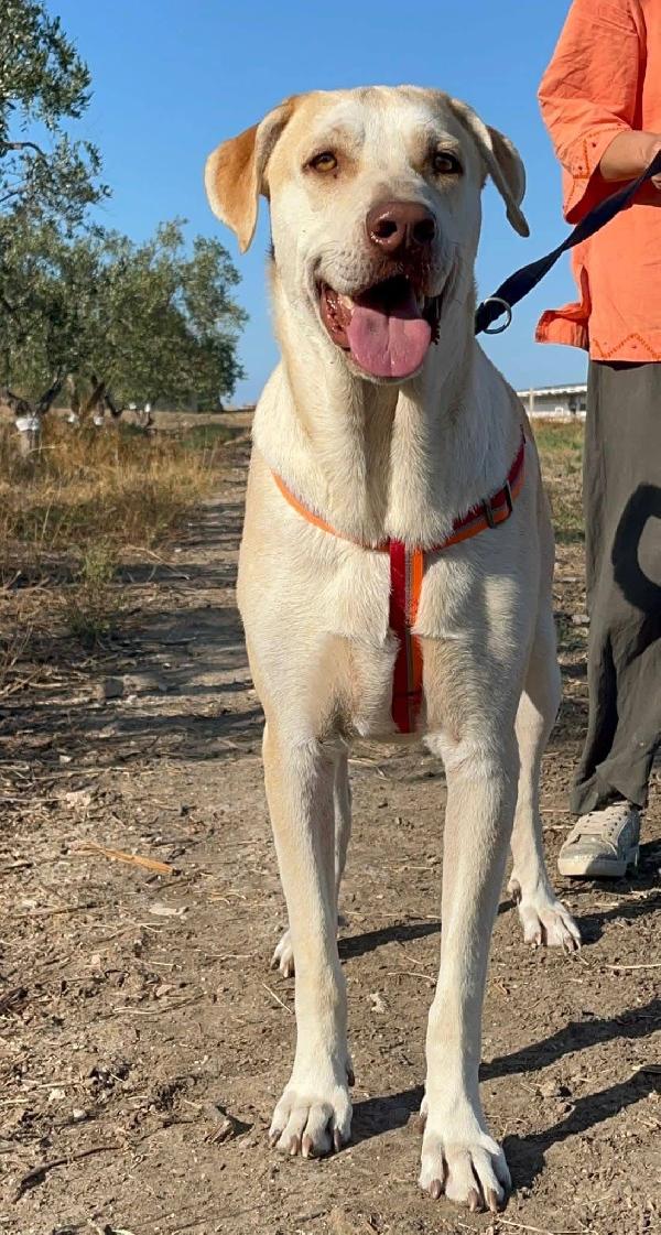 Vasco - 3 anni Foto 8