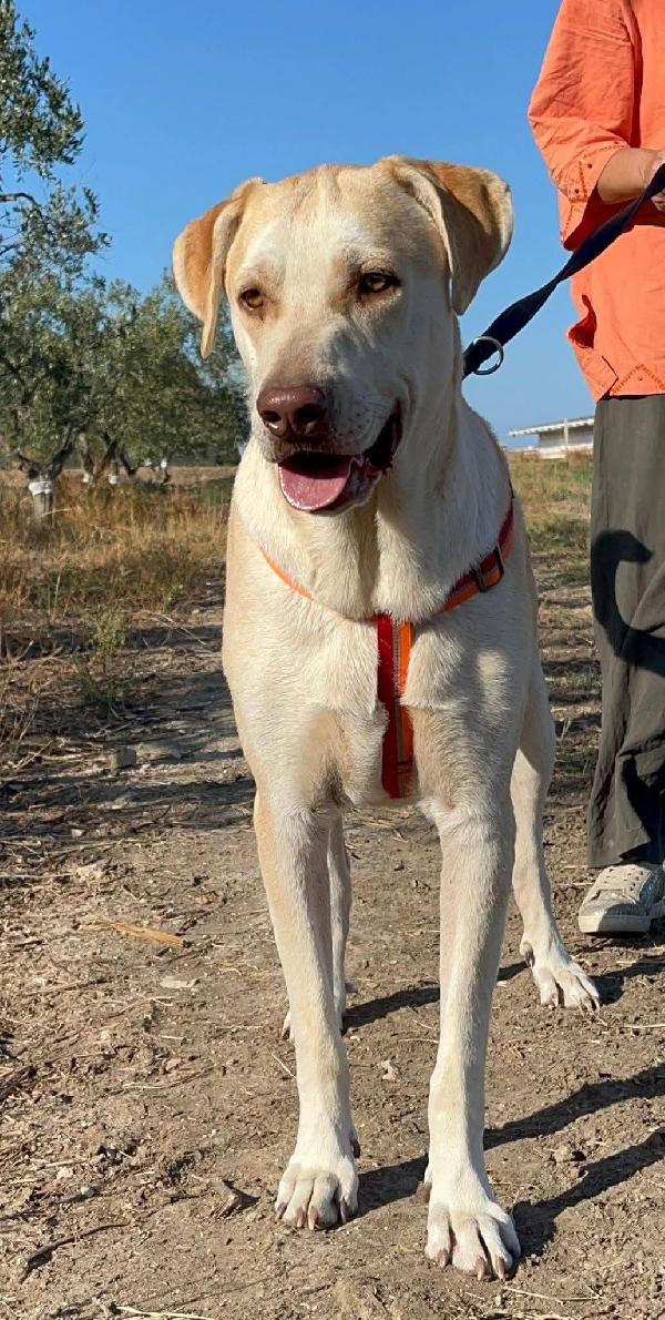 Vasco - 3 anni Foto 9