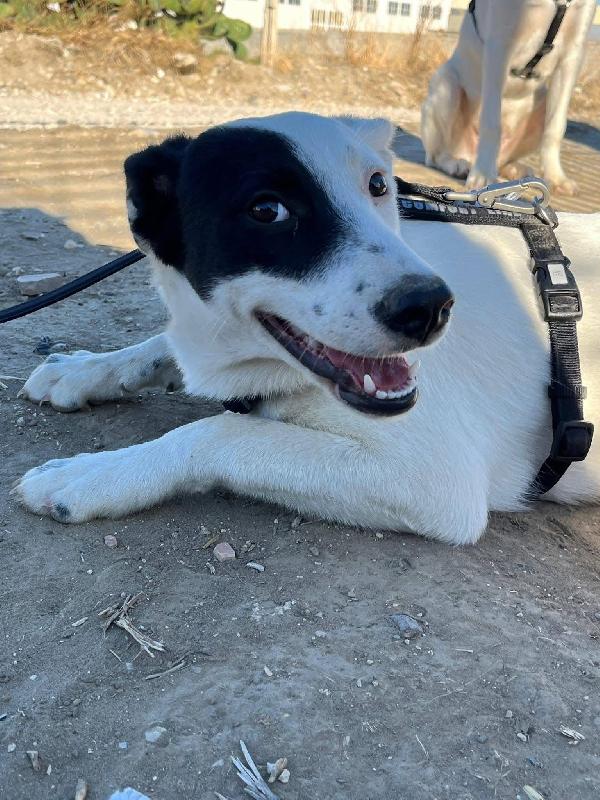 🩷 Chloe - 9 Mesi 🩷