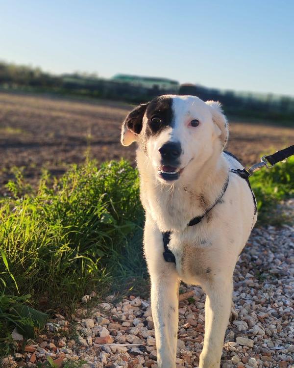 🩷 Chloe - 9 mesi 🩷 Foto 2