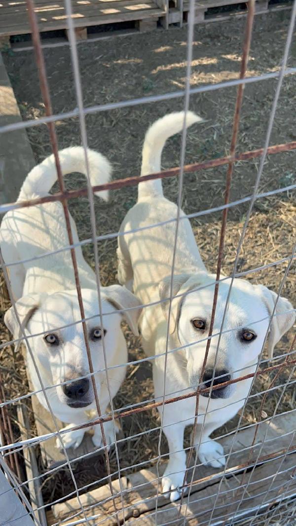 Jerry E Alvin - 4 Anni