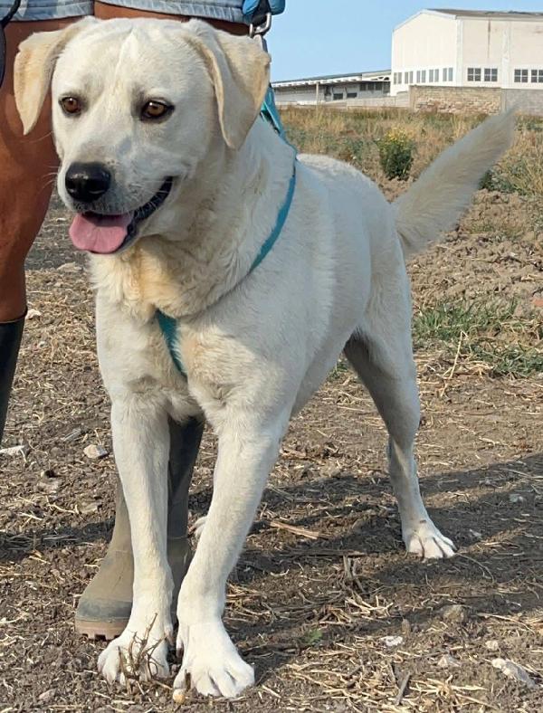 Jerry e Alvin - 4 anni Foto 6