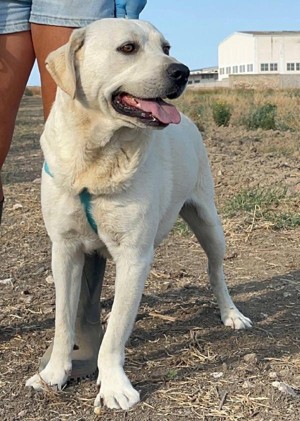 Jerry e Alvin - 4 anni Foto 7