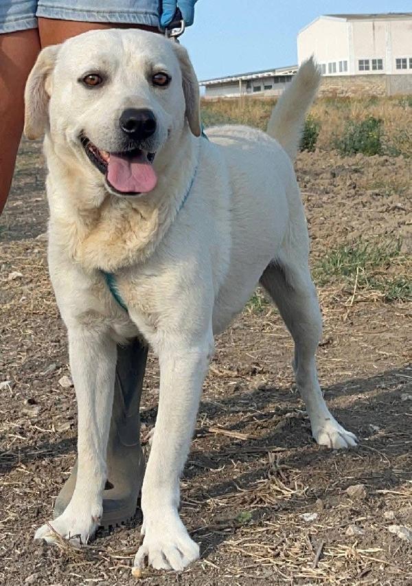 Jerry e Alvin - 4 anni Foto 8