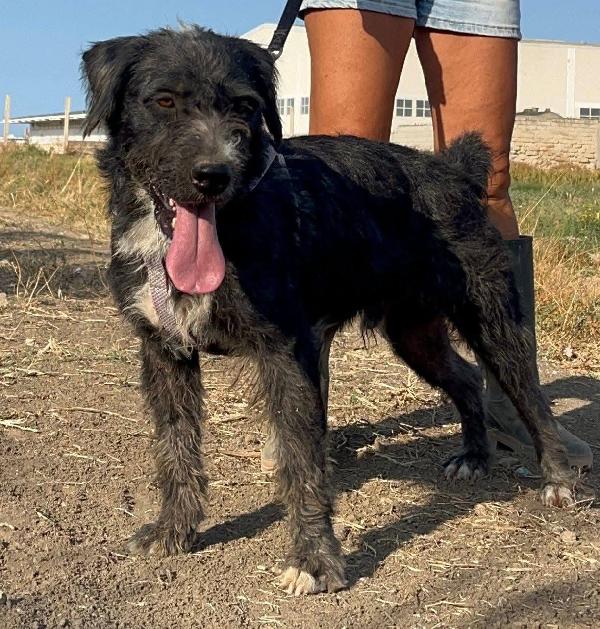 Aron - 2 anni Foto 2