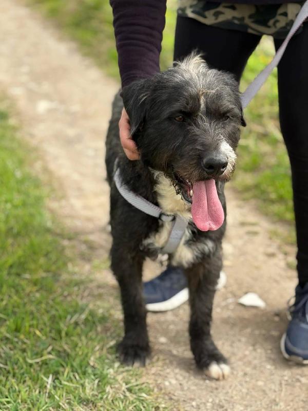 Aron - 2 anni Foto 3