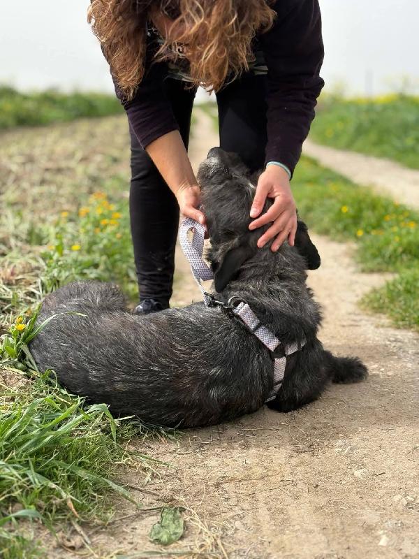 Aron - 2 anni Foto 4