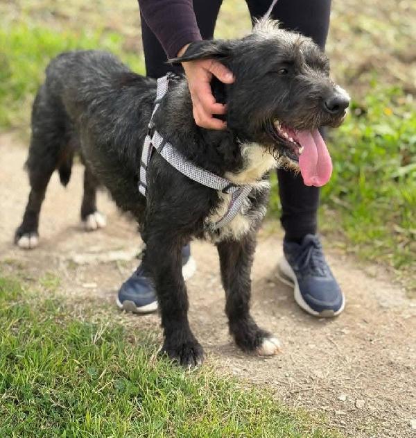 Aron - 2 anni Foto 5