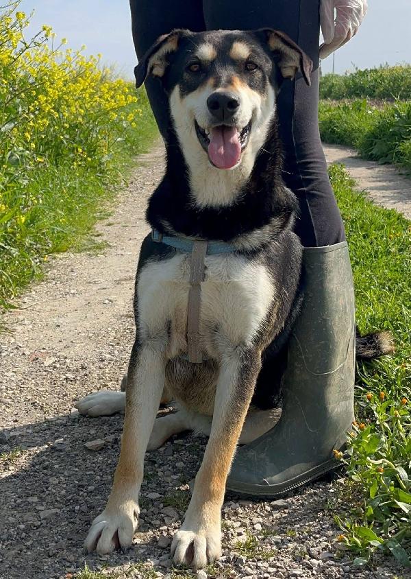 Tiana - 2 anni Foto 2