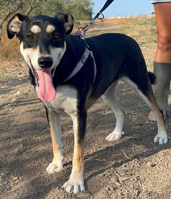 Tiana - 2 anni Foto 3