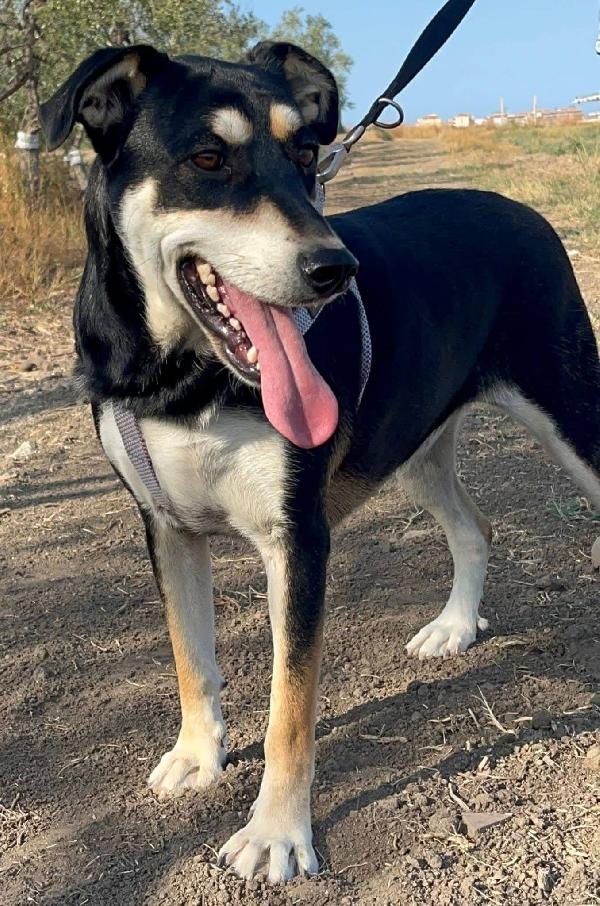 Tiana - 2 anni Foto 4