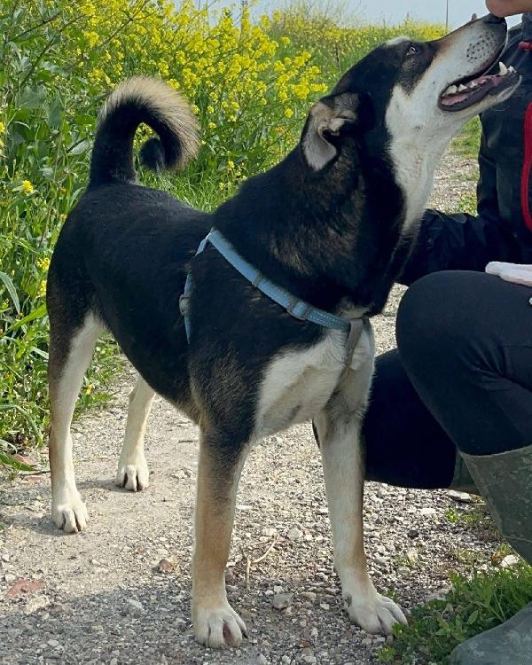 Tiana - 2 anni Foto 5