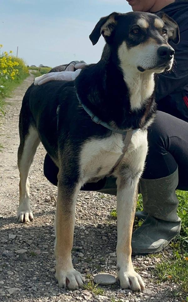 Tiana - 2 anni Foto 6