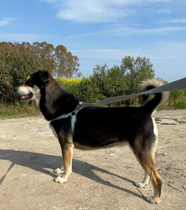 Tiana - 2 anni Foto 8