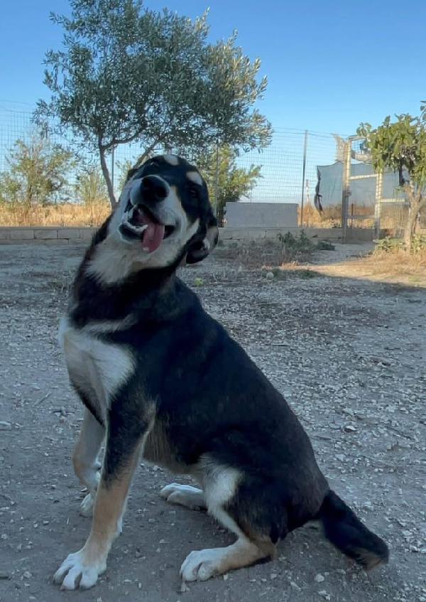 Tiana - 2 anni Foto 9