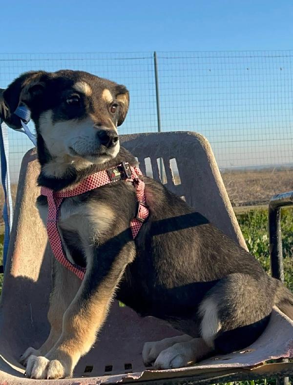 Tiana - 2 anni Foto 10