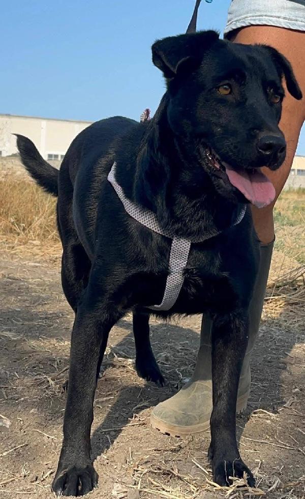 Diana - 3 anni Foto 2