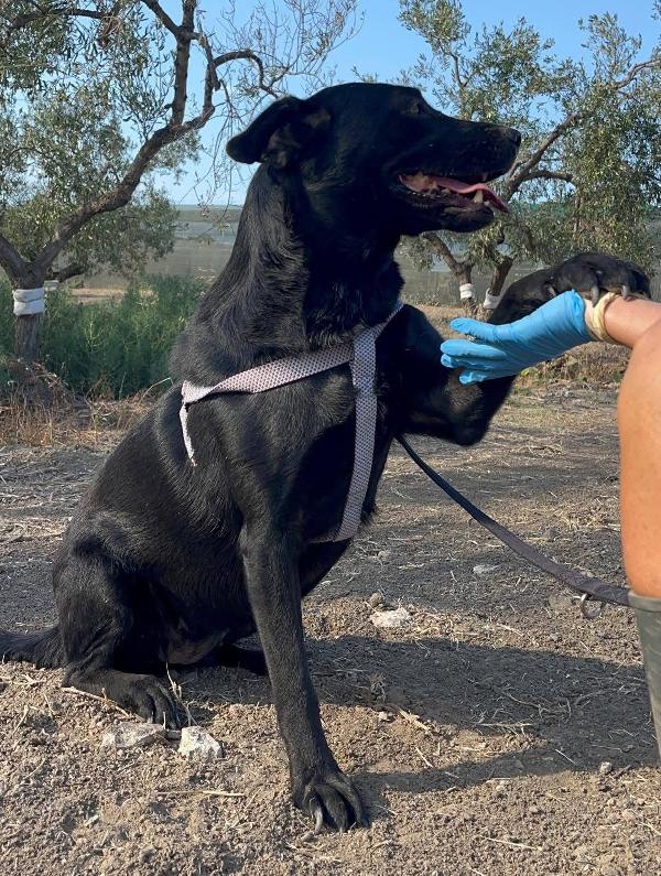 Diana - 3 anni Foto 4