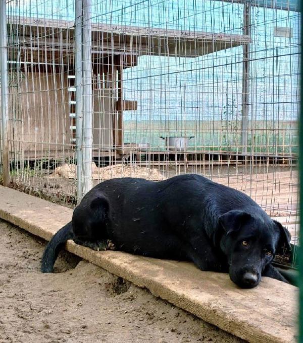 Diana - 3 anni Foto 6