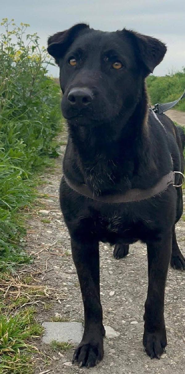 Diana - 3 anni Foto 7