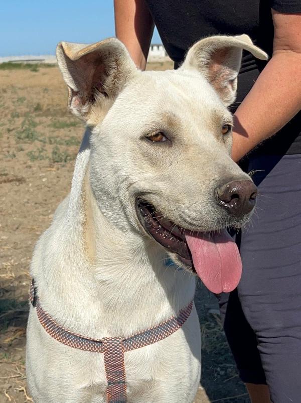 Manuel -1 anno Foto 2