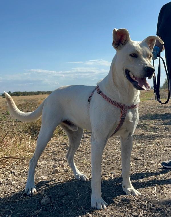 Manuel -1 anno Foto 3