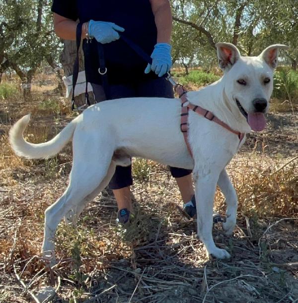 Manuel -1 anno Foto 4