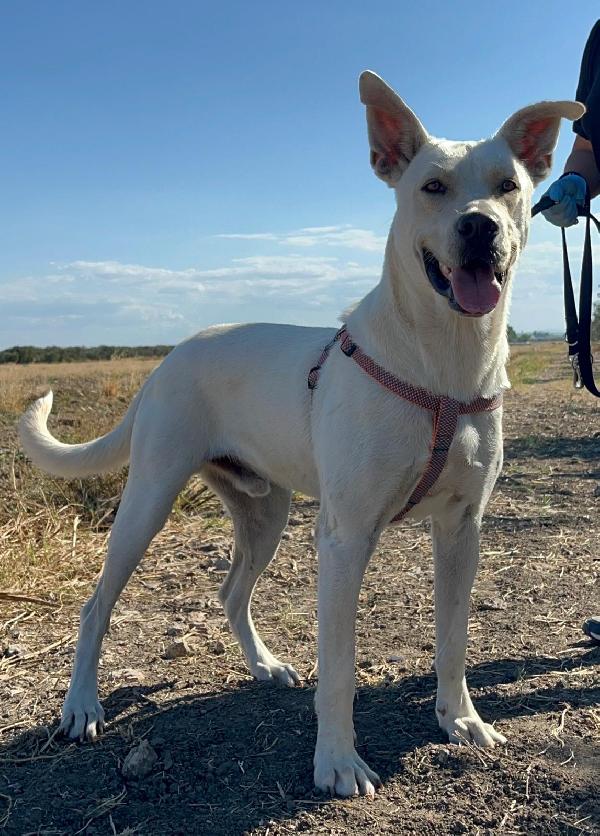 Manuel -1 anno Foto 5