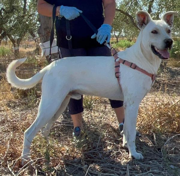 Manuel -1 anno Foto 7