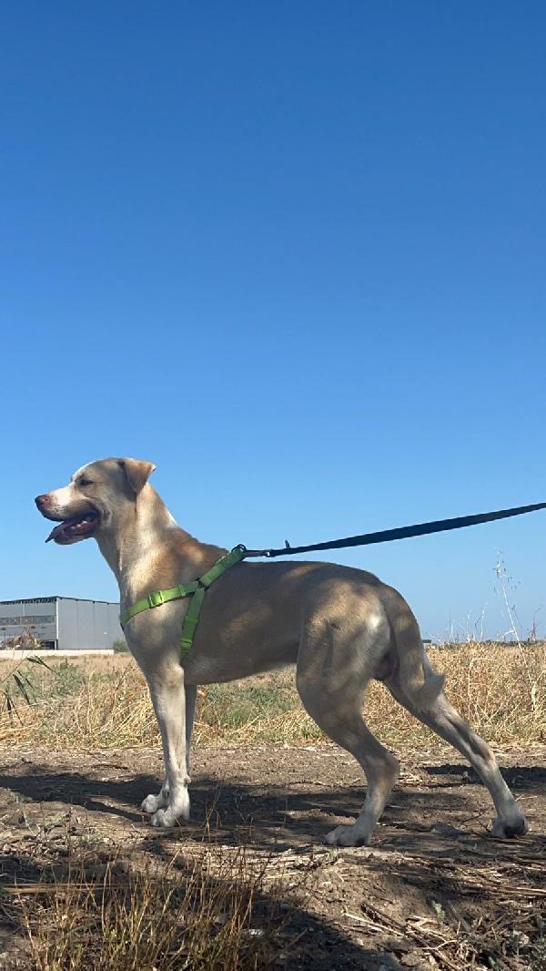 Manuel -1 anno Foto 6