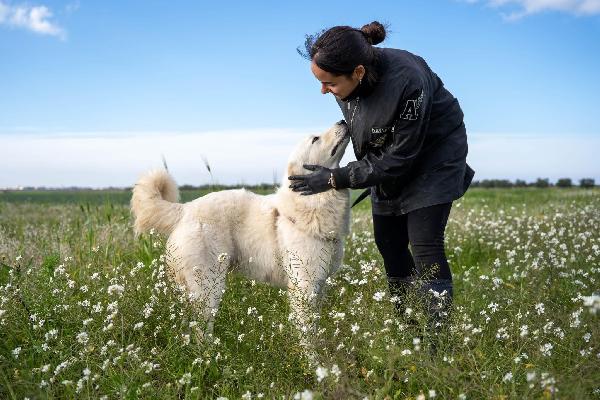 Peppe - 1 anno Foto 2