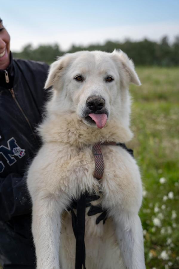 Peppe - 1 anno Foto 9