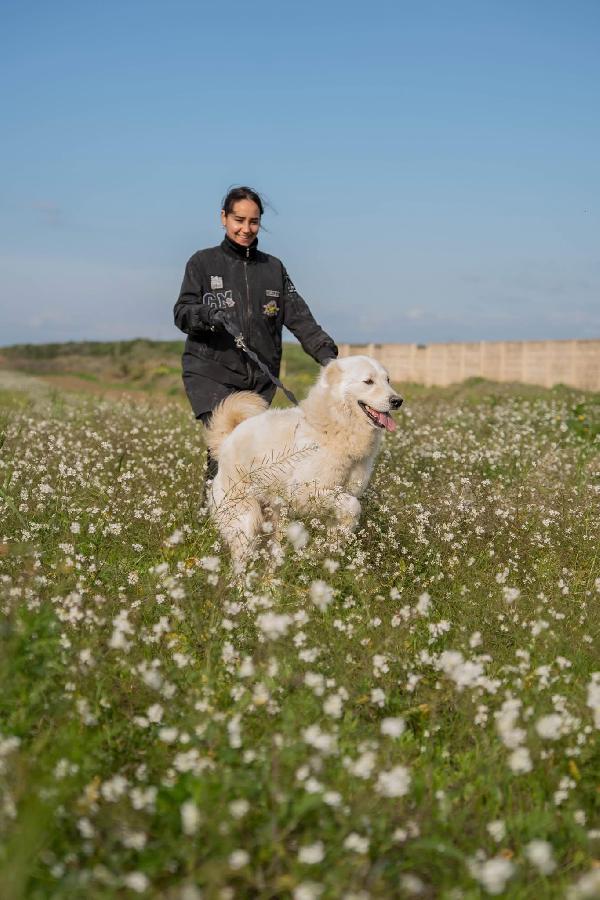 Peppe - 1 anno Foto 10