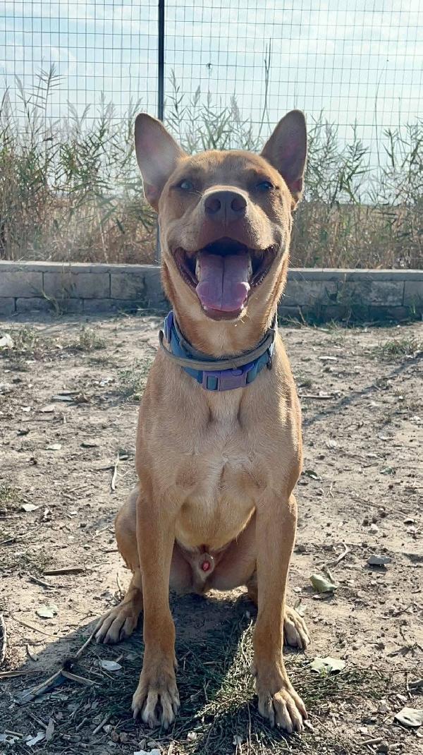 Nick - 3 anni Foto 2