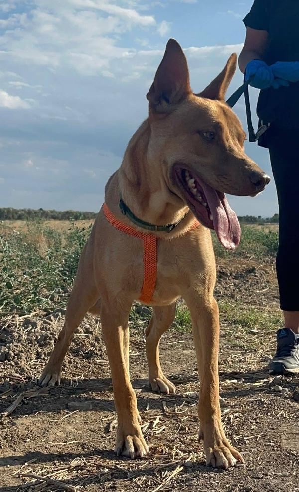 Nick - 3 anni Foto 3