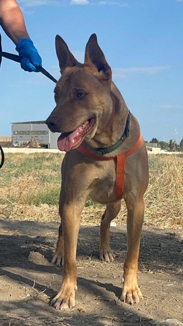 Nick - 3 anni Foto 5