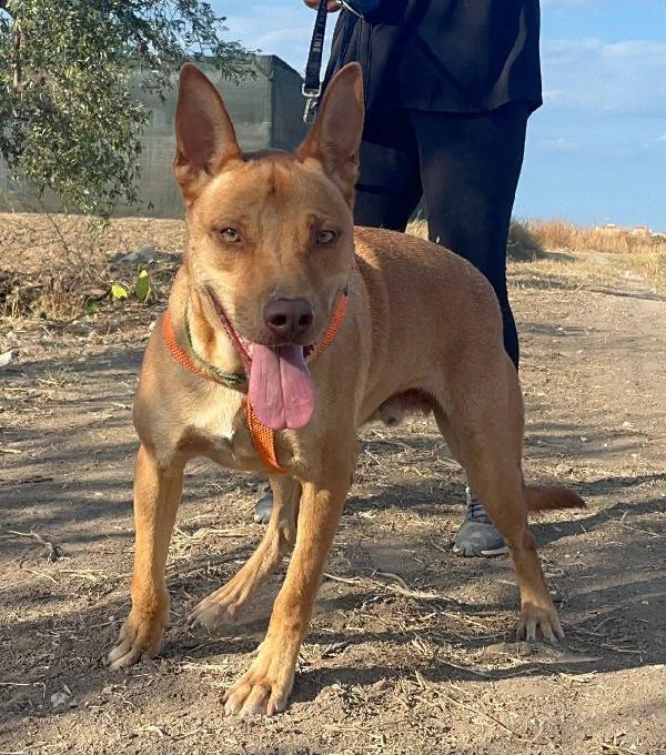 Nick - 3 anni Foto 6