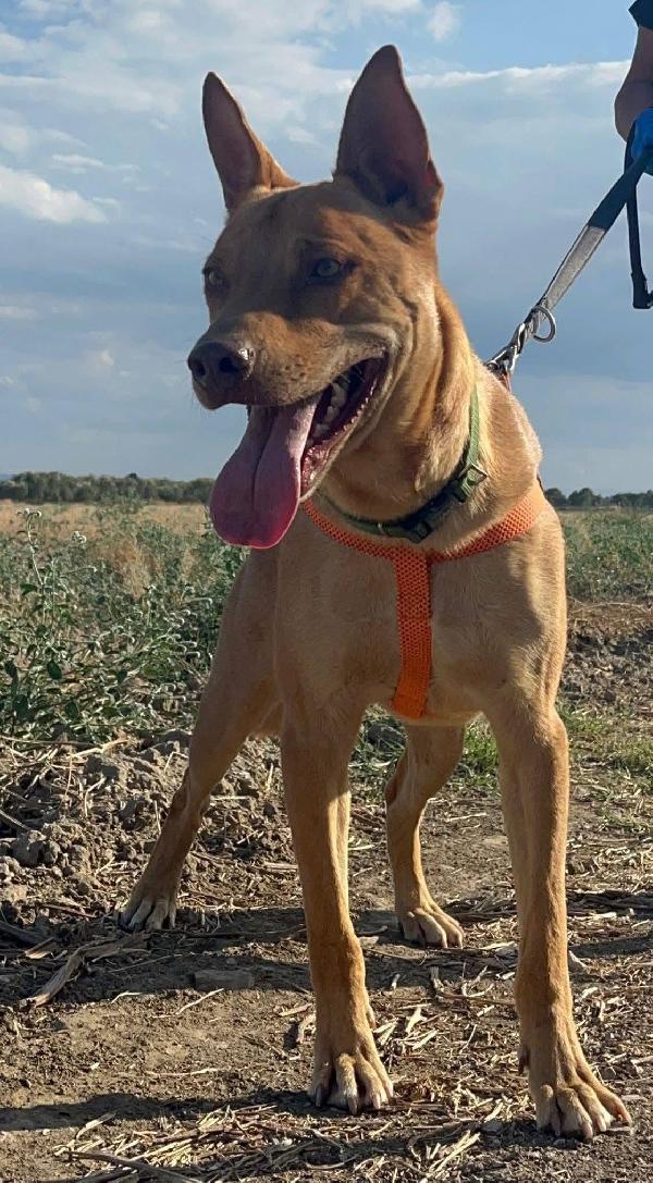 Nick - 3 anni Foto 7