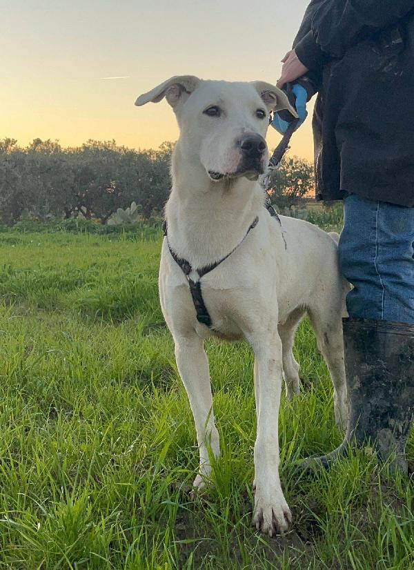 Enea - 1 anno Foto 2