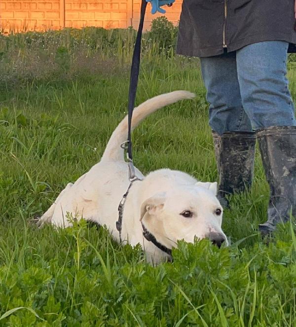 Enea - 1 anno Foto 4