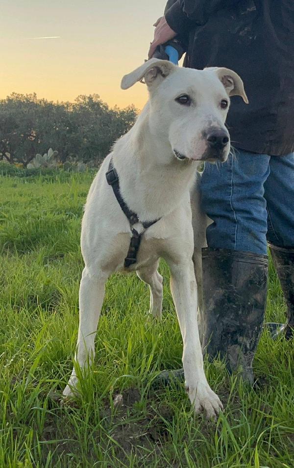 Enea - 1 anno Foto 7